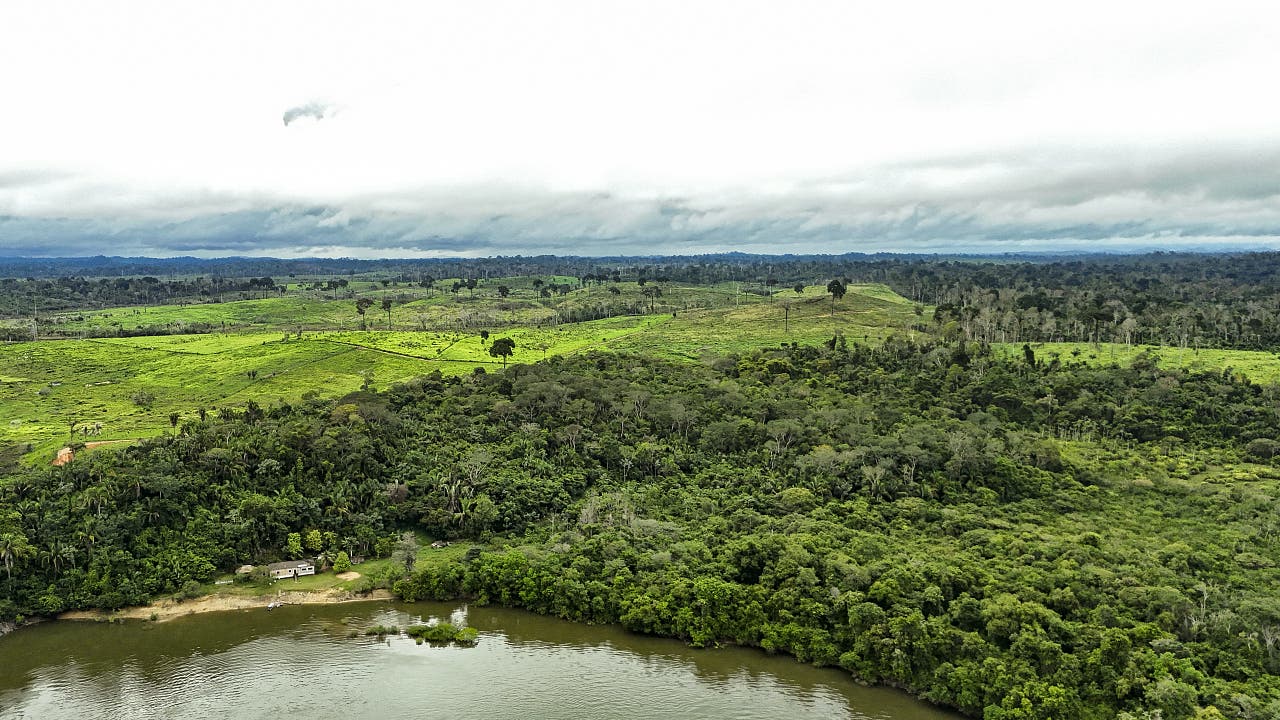 Amazonasregenwald: »Der gesamte Süden steht am Rande des Kipppunkts«