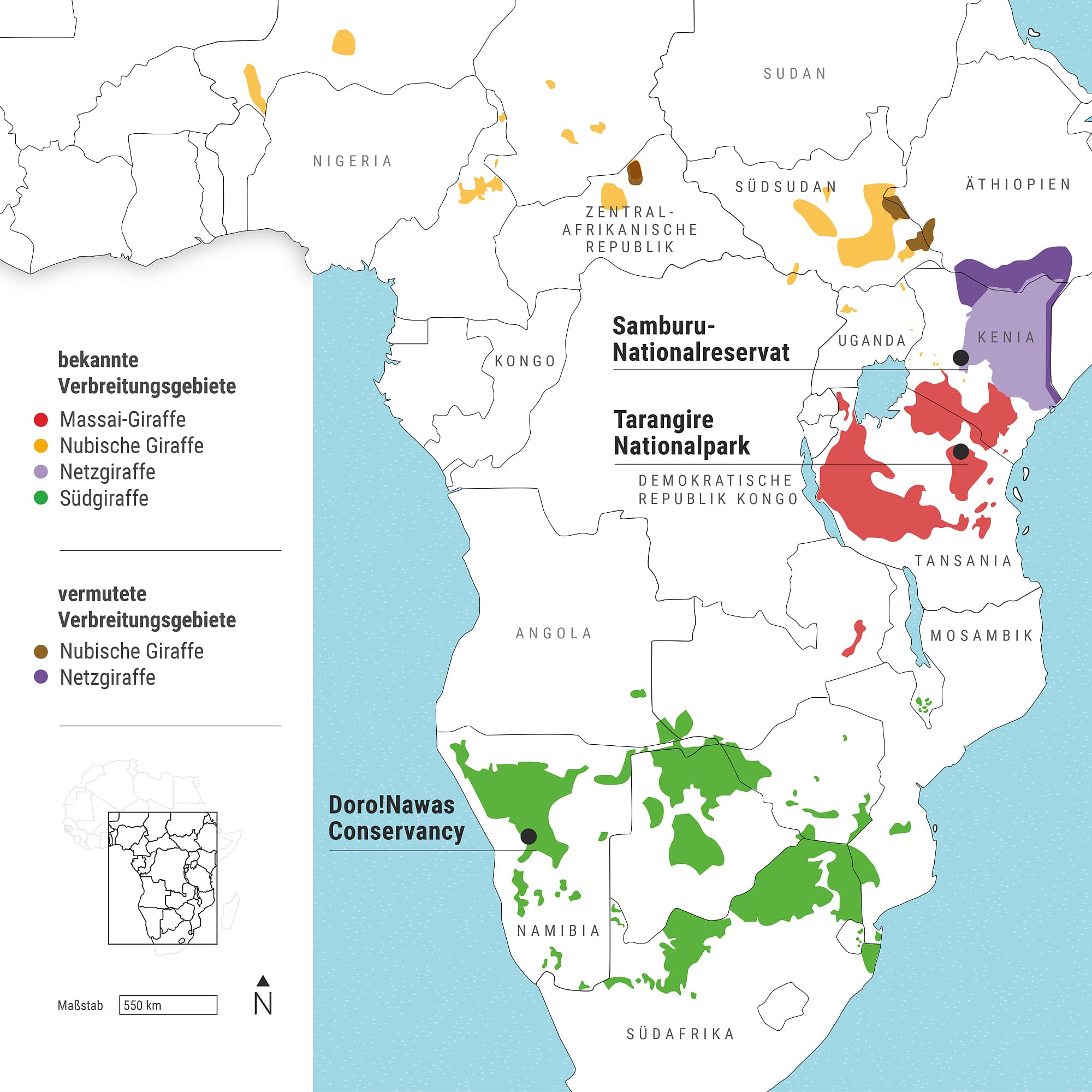Die Karte zeigt einen stark zerstückelten Lebensraum der Giraffen. Vor allem in Zentral- und Ostafrika ist er im 20. Jahrhundert massiv geschrumpft. Die hier vorgenommene Untergliederung in vier Giraffenarten wird in der Wissenschaft nicht allgemein akzeptiert. Die Karte zeigt einen stark zerstückelten Lebensraum der Giraffen. Vor allem in Zentral- und Ostafrika ist er im 20. Jahrhundert massiv geschrumpft. Die hier vorgenommene Untergliederung in vier Giraffenarten wird in der Wissenschaft nicht allgemein akzeptiert.
