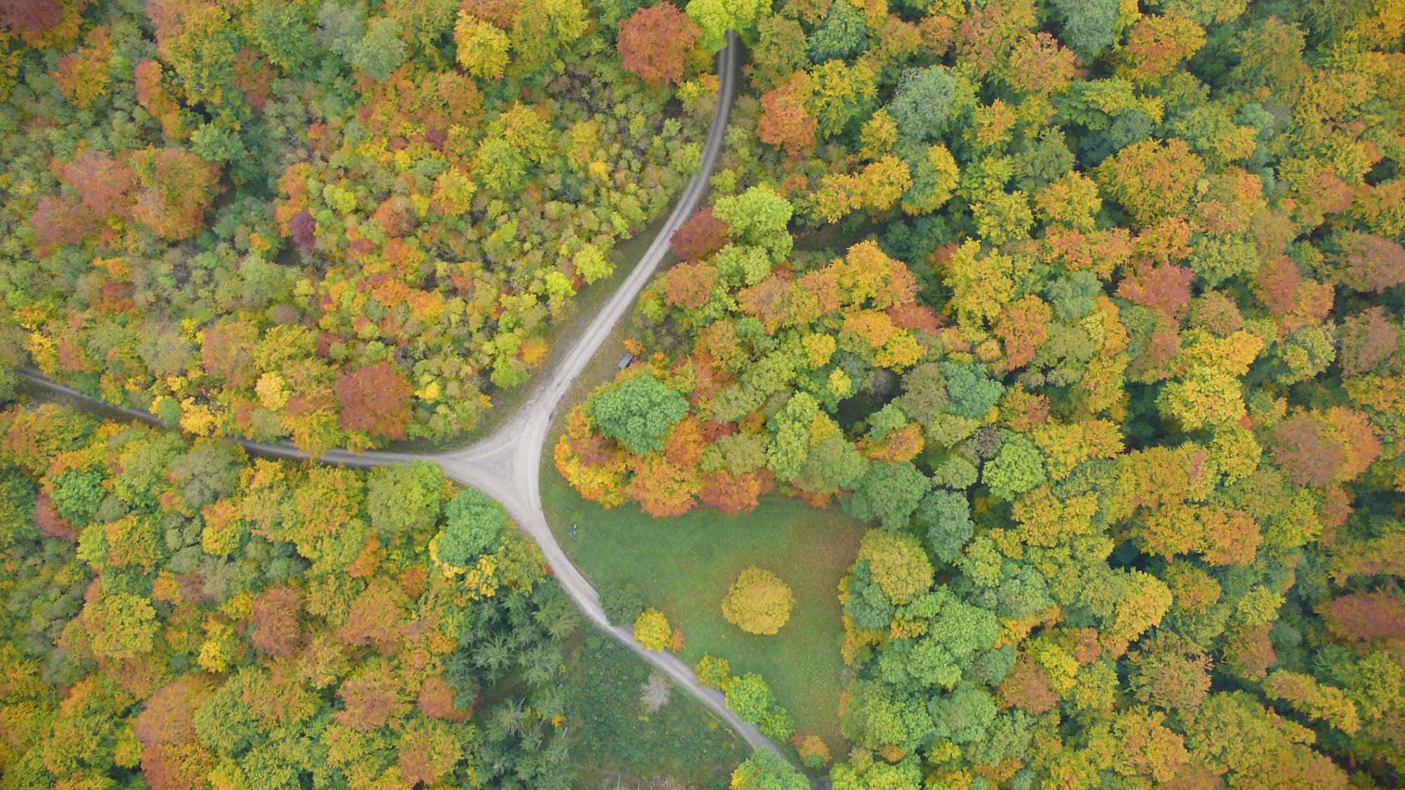Der Hainich im Herbst Der Hainich im Herbst