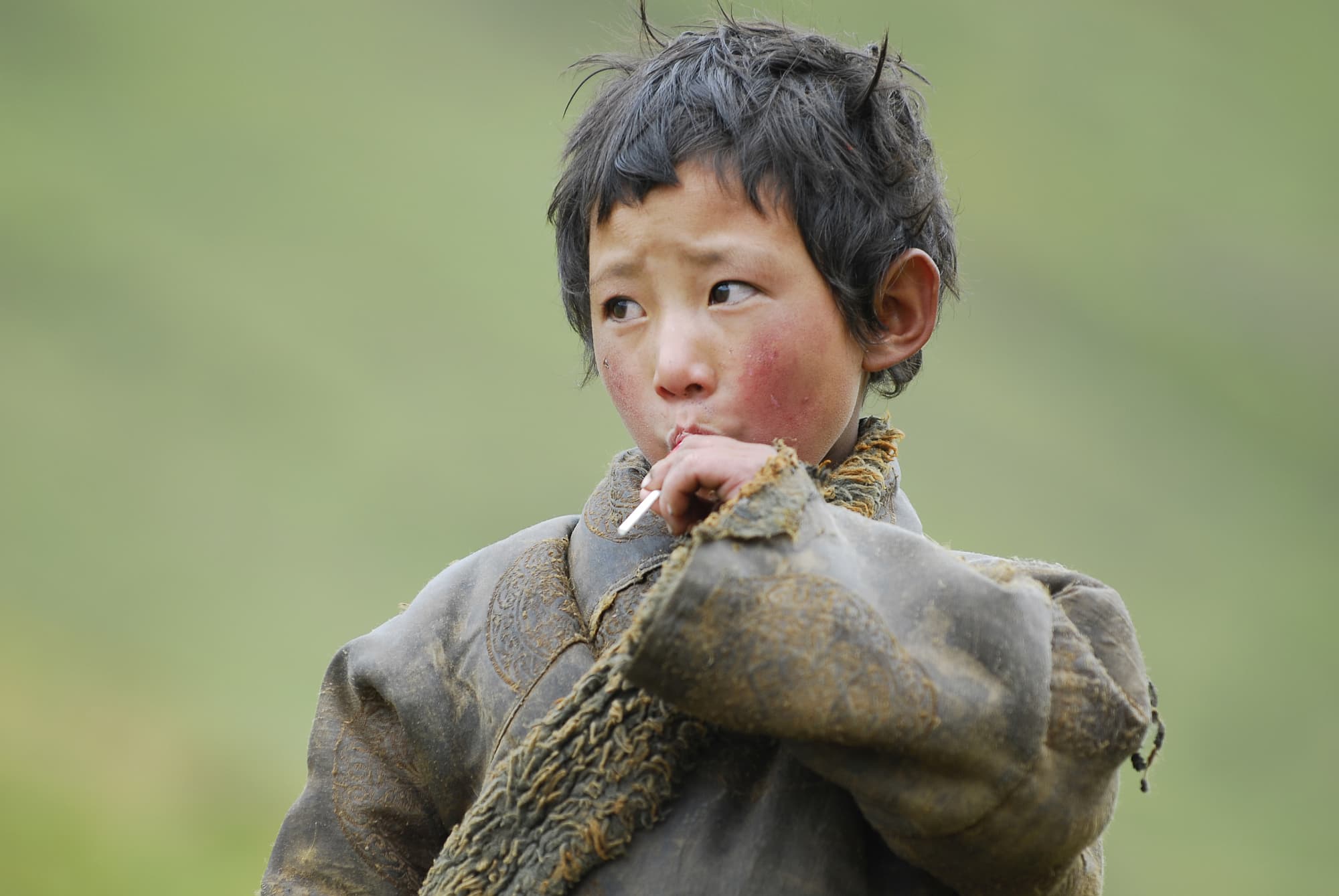 Tibetanischer Hirtenjunge Tibetanischer Hirtenjunge