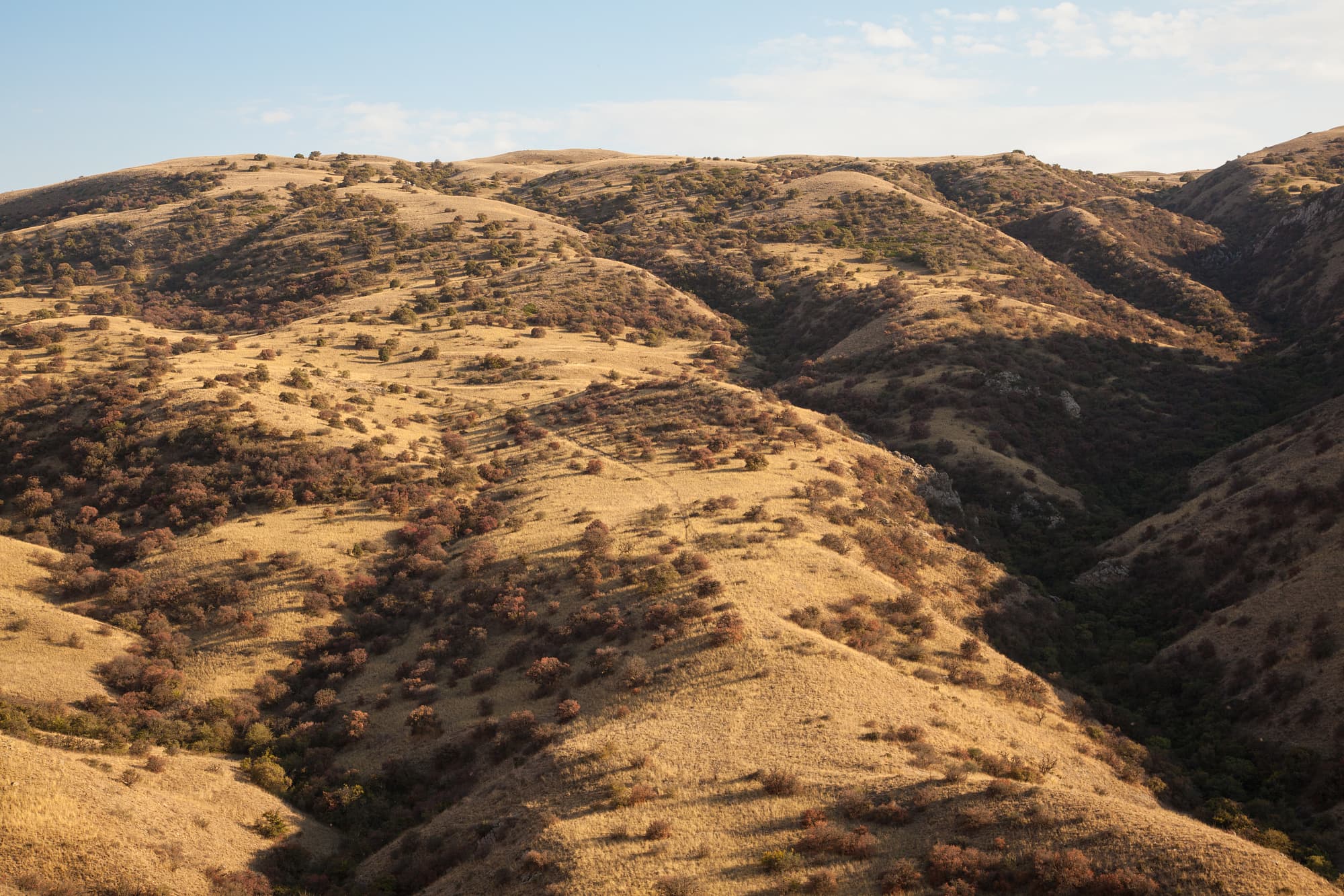 Gesprenkelte Landschaft im iranischen Golestan-Nationalpark Gesprenkelte Landschaft im iranischen Golestan-Nationalpark