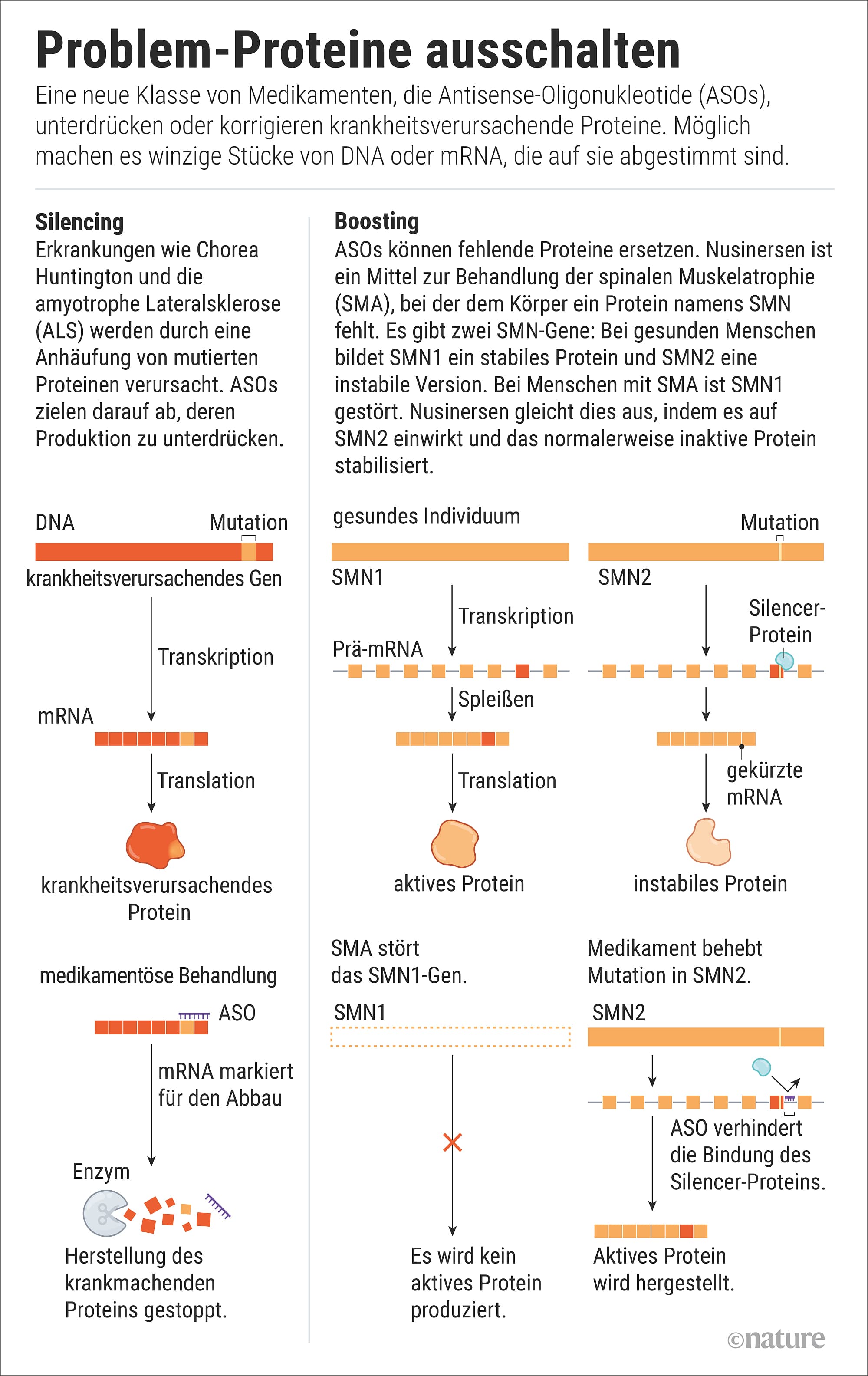 Wie spezielle Medikamente Proteine, die krank machen, angreifen, zeigt die Grafik. Wie spezielle Medikamente Proteine, die krank machen, angreifen, zeigt die Grafik.