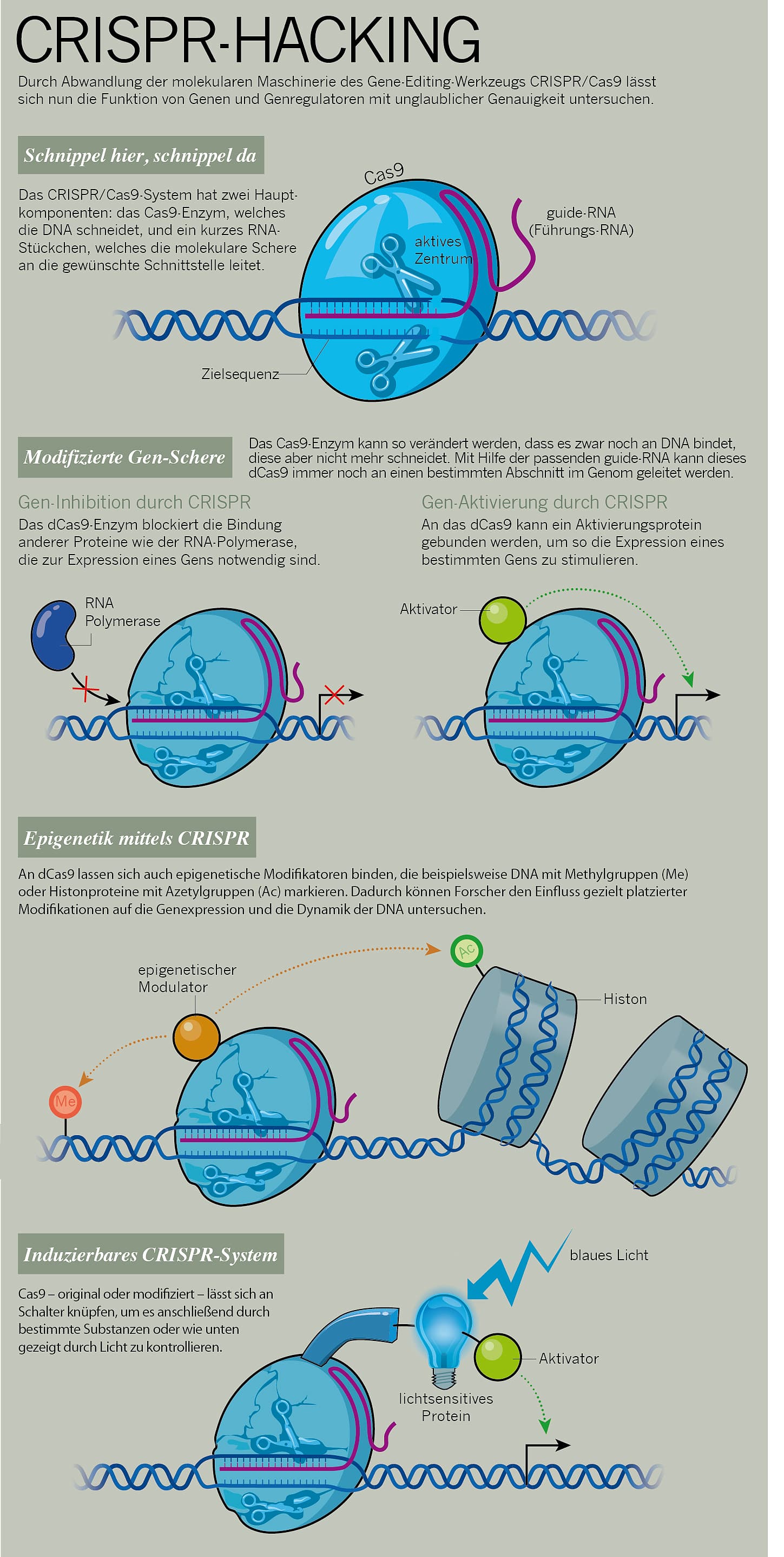 CRISPR-Hacking CRISPR-Hacking