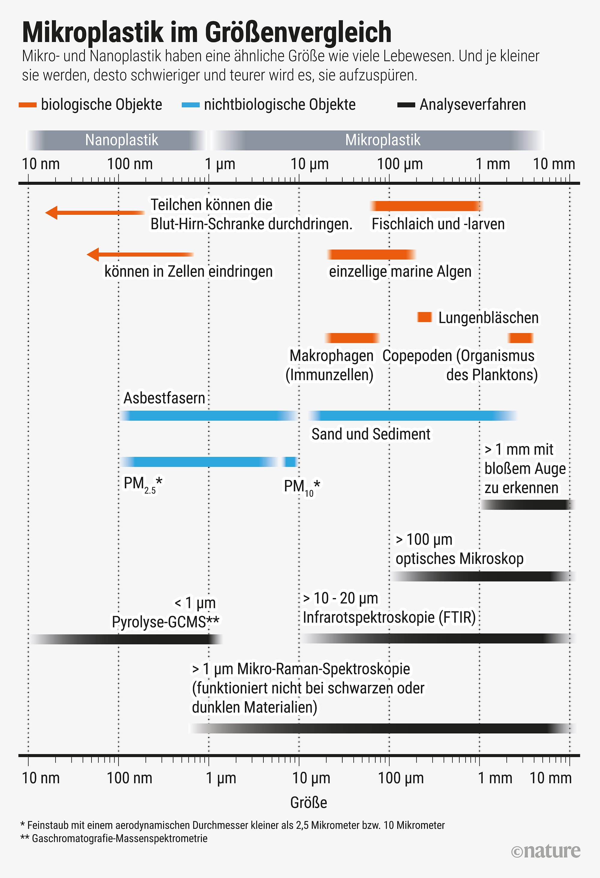 Infografik Mikroplastik im Größenvergleich Infografik Mikroplastik im Größenvergleich