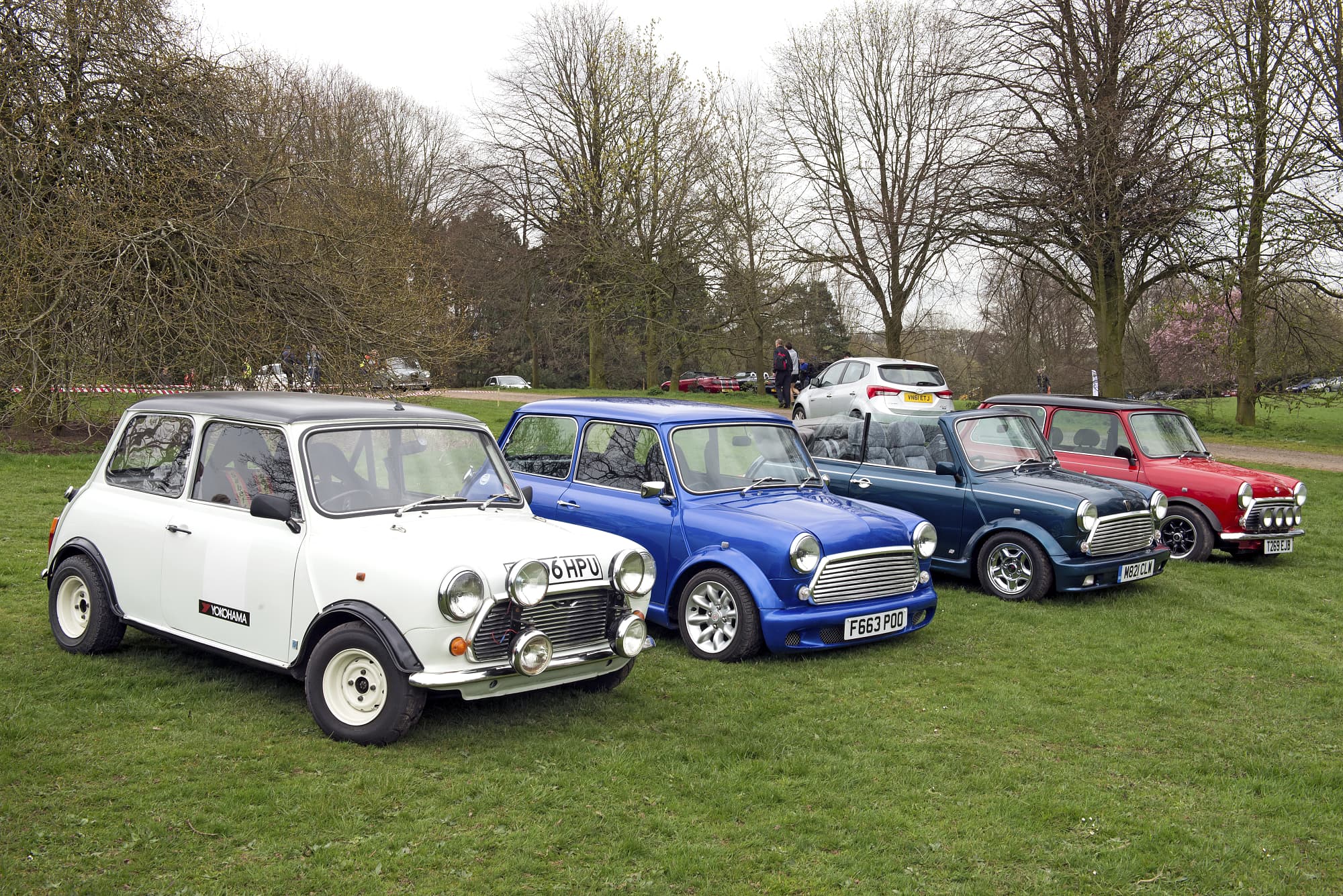 Mini Mini