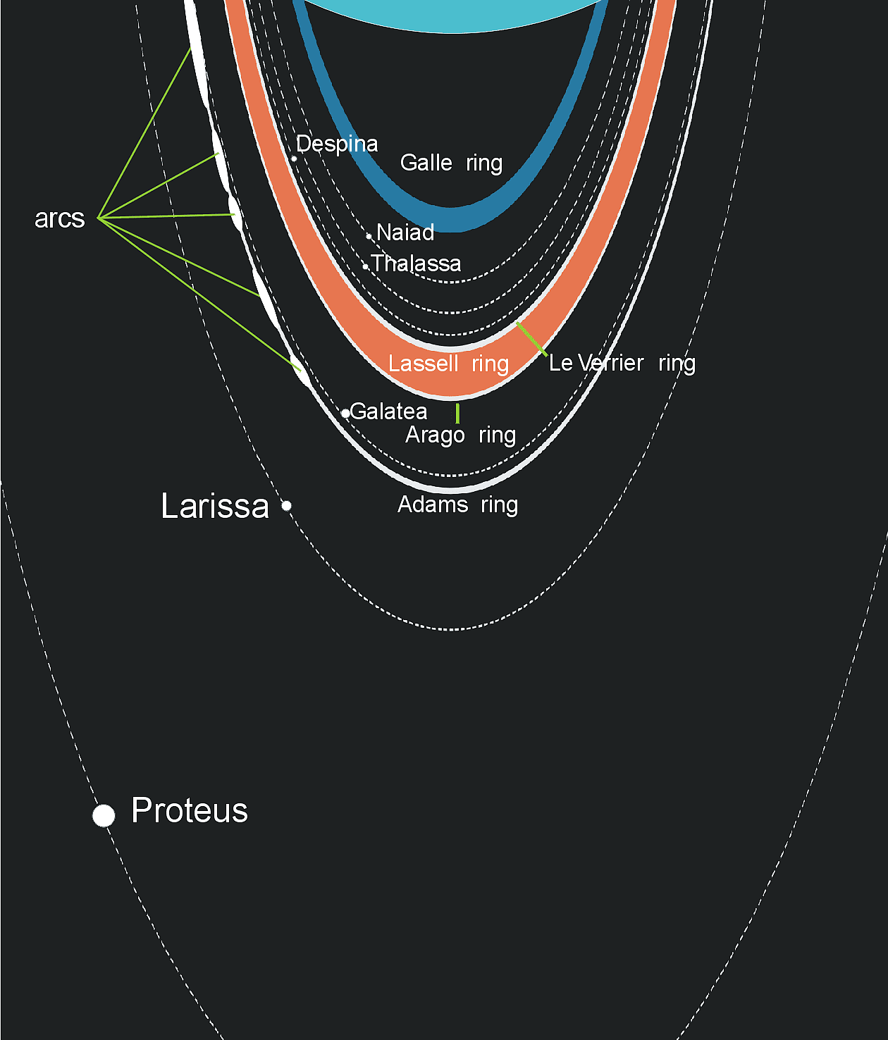 Das Ringsystem des Neptun (Schemazeichnung) Das Ringsystem des Neptun (Schemazeichnung)