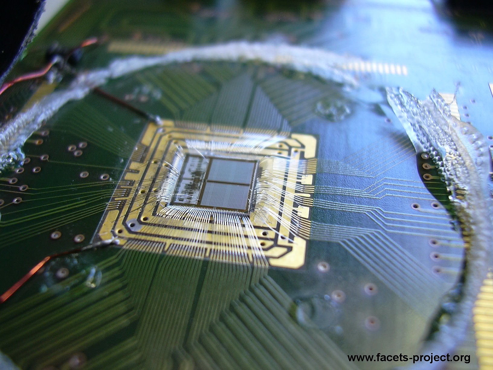 Neuromorpher Chip Neuromorpher Chip