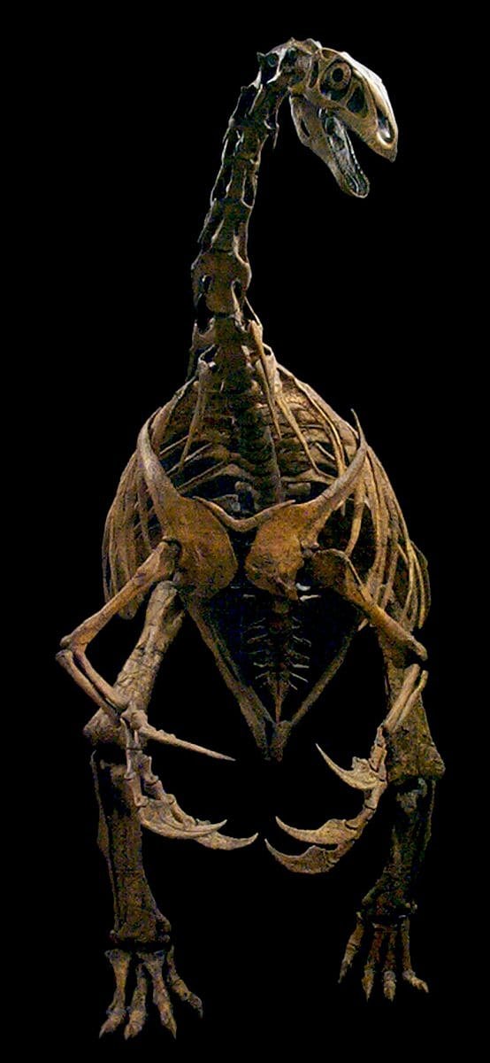 Dino mit den Sensenhänden Dino mit den Sensenhänden