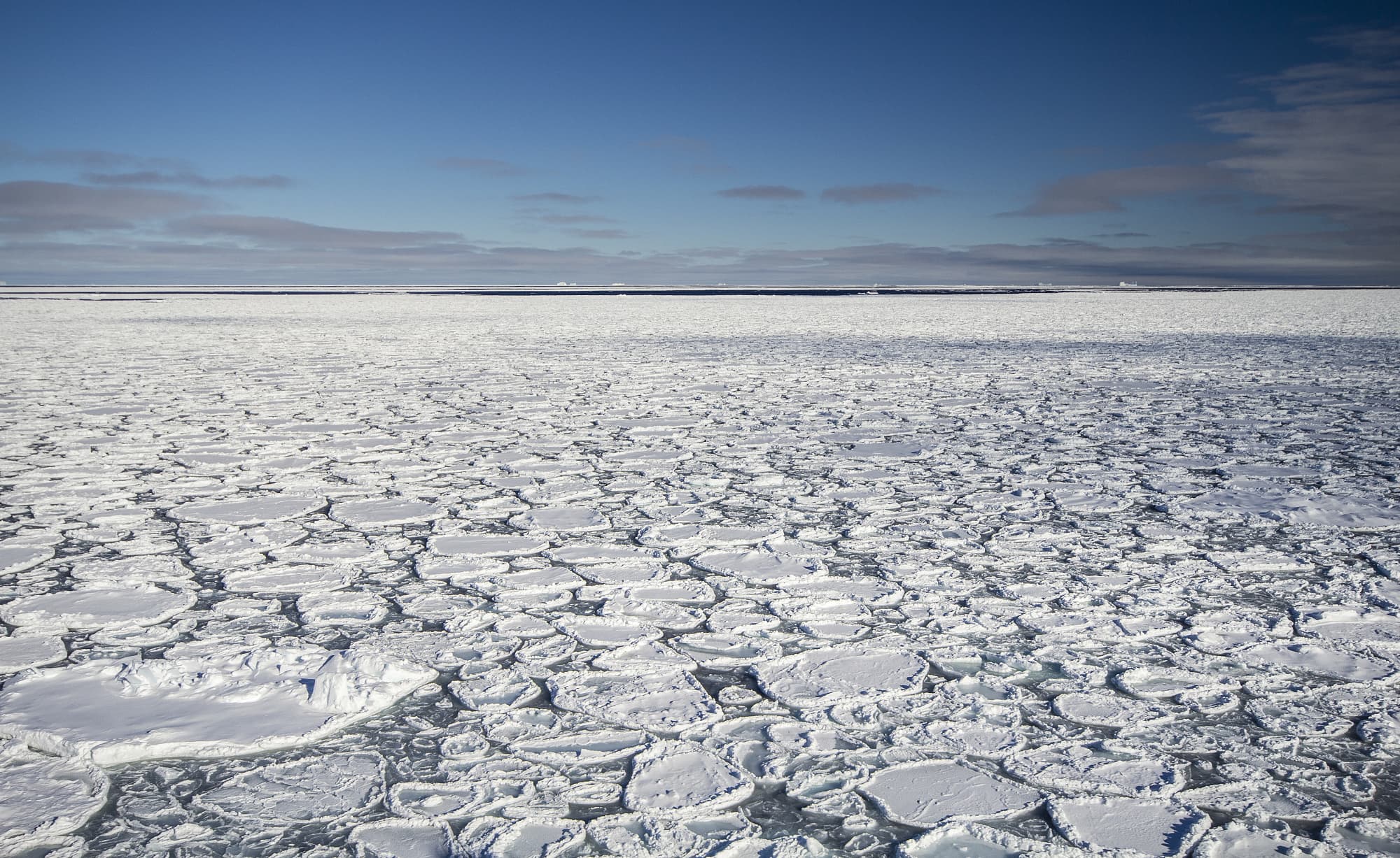 Das Meer gefriert zuerst zu Pfannkucheneis Das Meer gefriert zuerst zu Pfannkucheneis