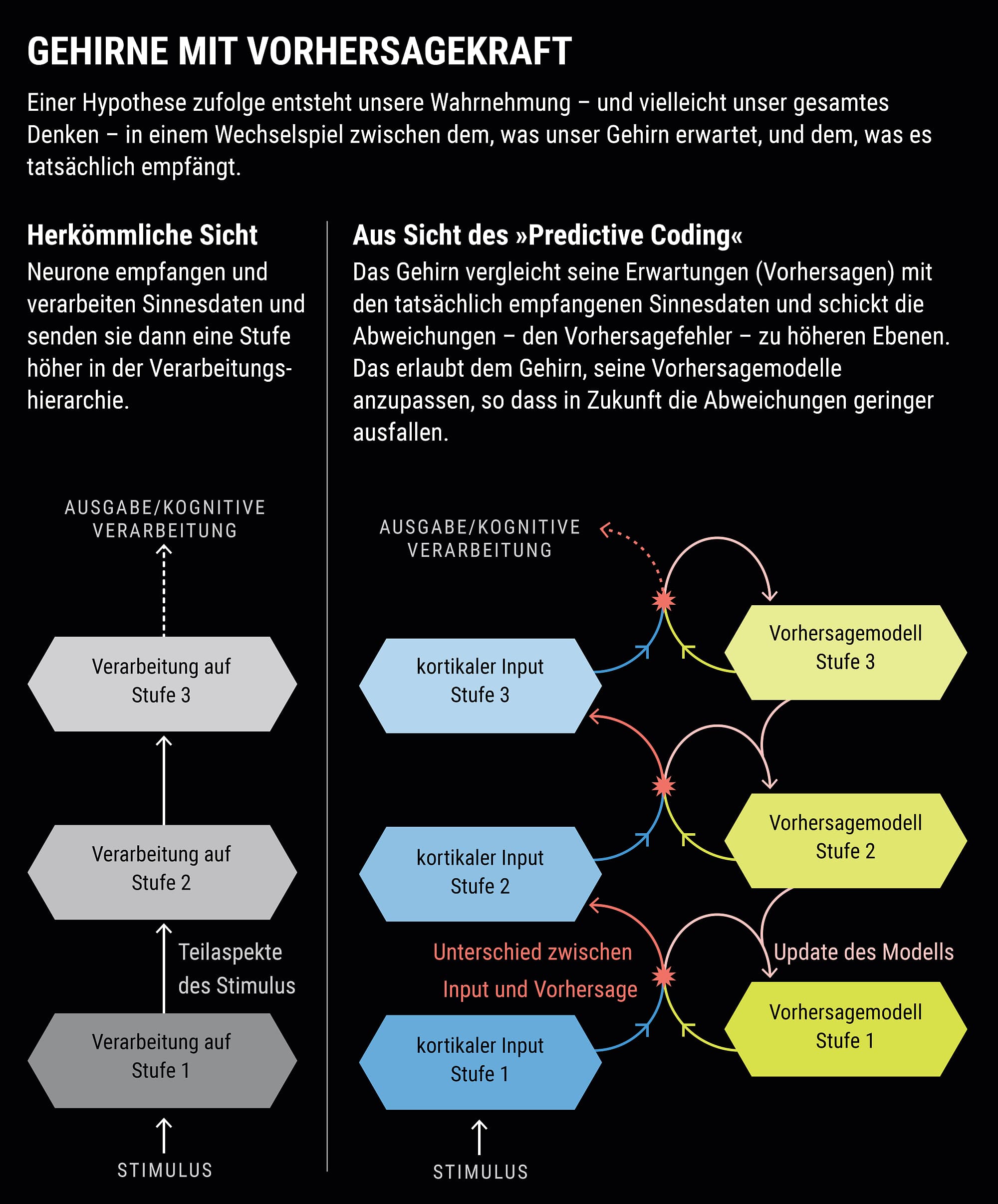 Gehirne mit Vorhersagekraft Gehirne mit Vorhersagekraft