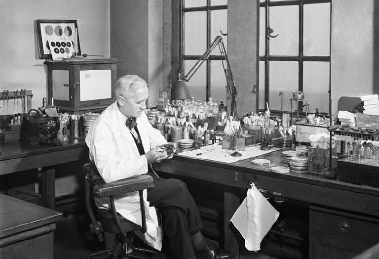 Alexander Fleming Alexander Fleming