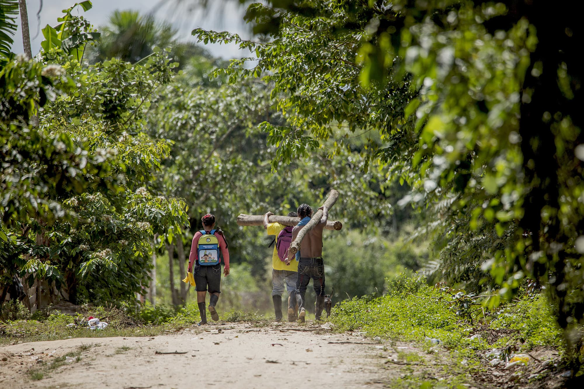 Wald als Rohstoffquelle Wald als Rohstoffquelle