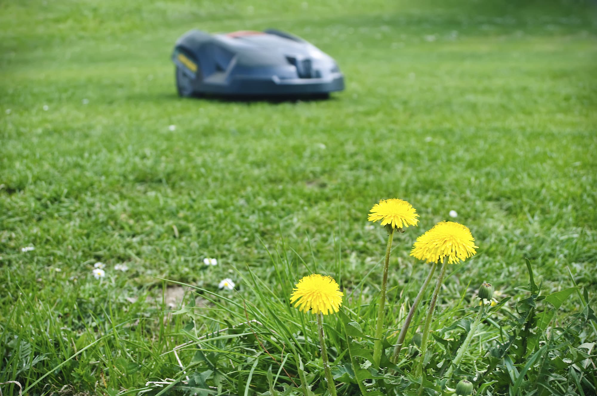 Hindernisse bitte umfahren Hindernisse bitte umfahren
