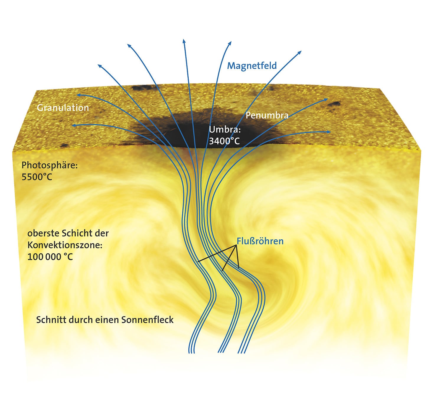 Die Anatomie eines Sonnenflecks Die Anatomie eines Sonnenflecks