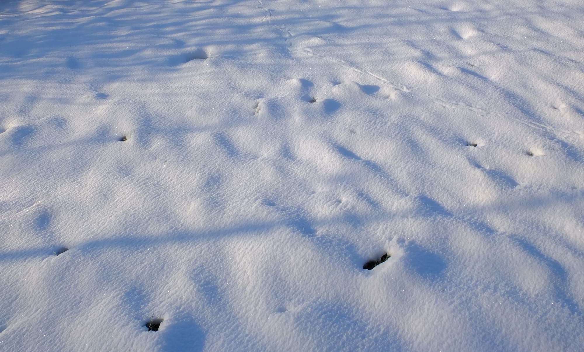 Sonnenschein auf Schnee Sonnenschein auf Schnee