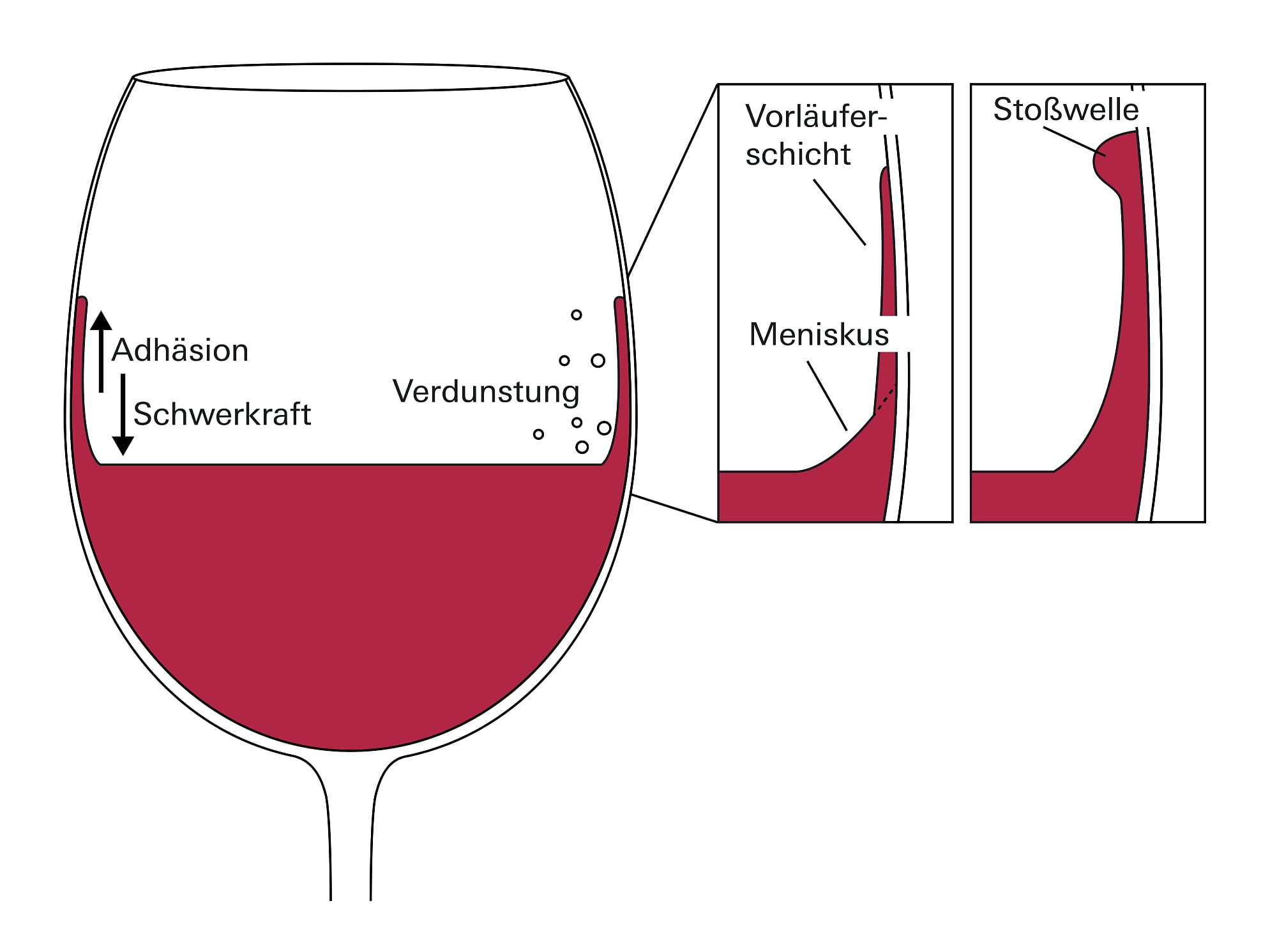 Illustration der physikalischen Effekte an der Innenseite eines Weinglases Illustration der physikalischen Effekte an der Innenseite eines Weinglases