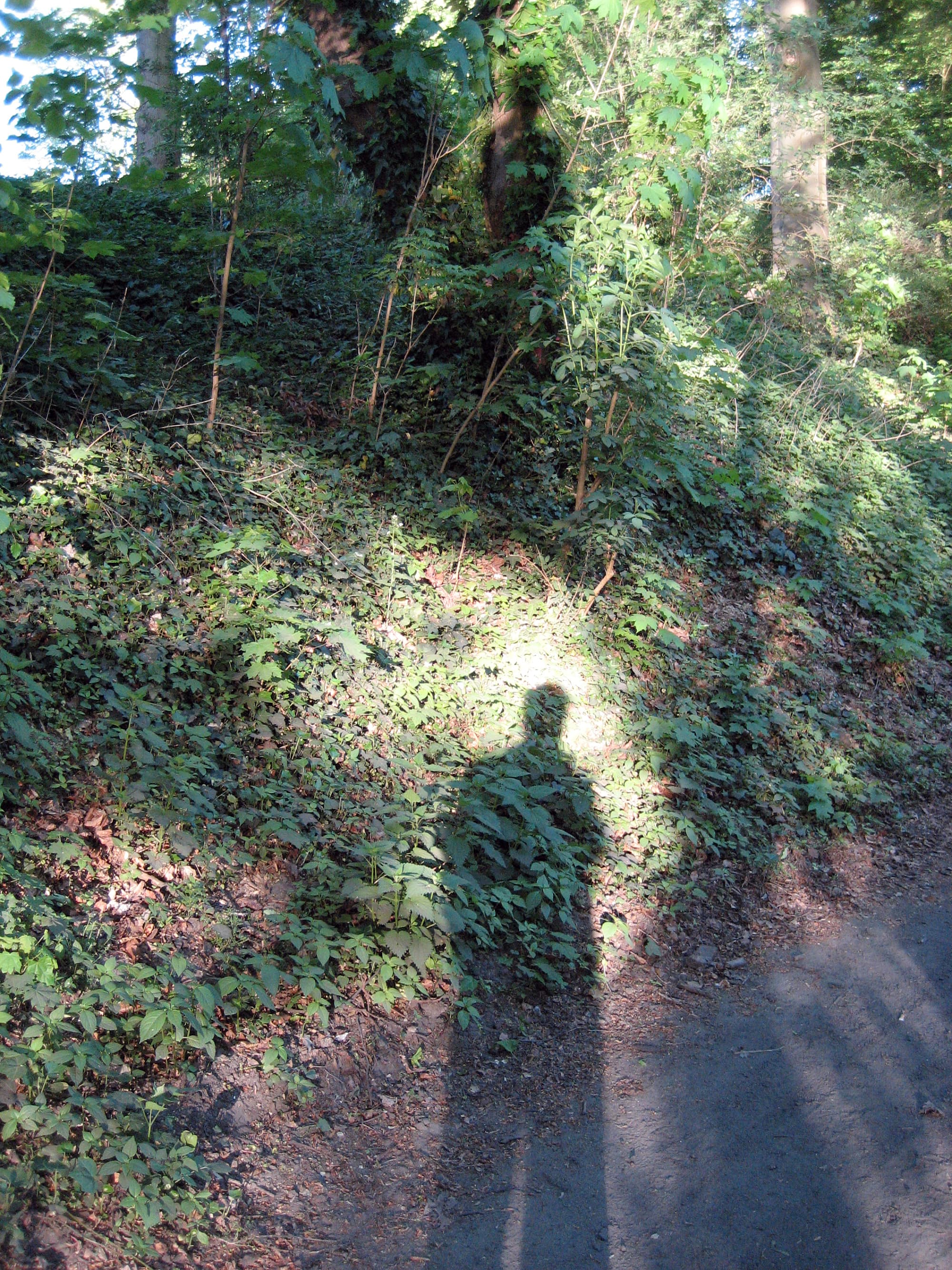 Reflexion und Schatten Reflexion und Schatten