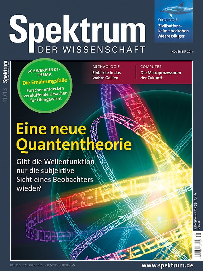 Aus Spektrum der Wissenschaft 11/2013 <br><a
href=