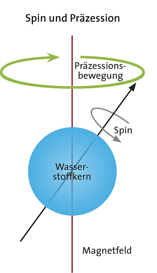 Spin und Präzession Spin und Präzession