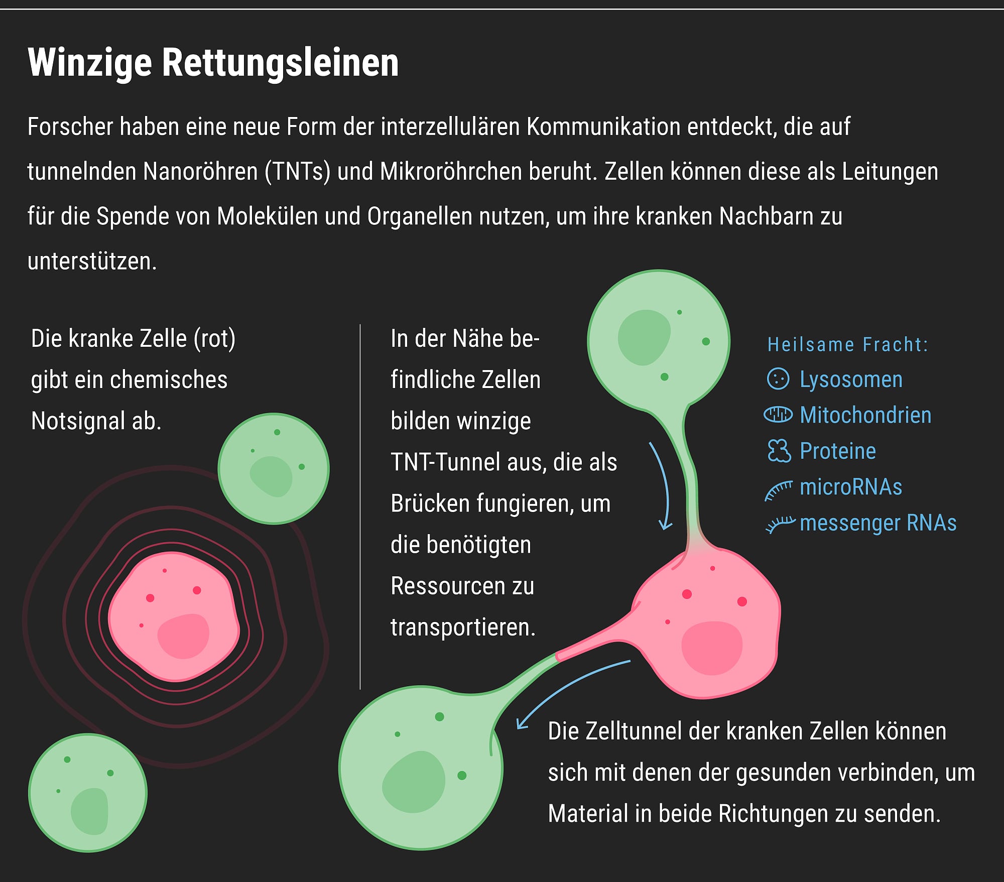 Interzelluläre Kommunikation Interzelluläre Kommunikation