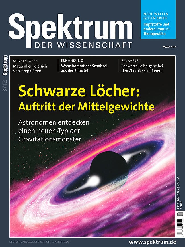Spektrum der Wissenschaft Heft 03/2012 Spektrum der Wissenschaft Heft 03/2012