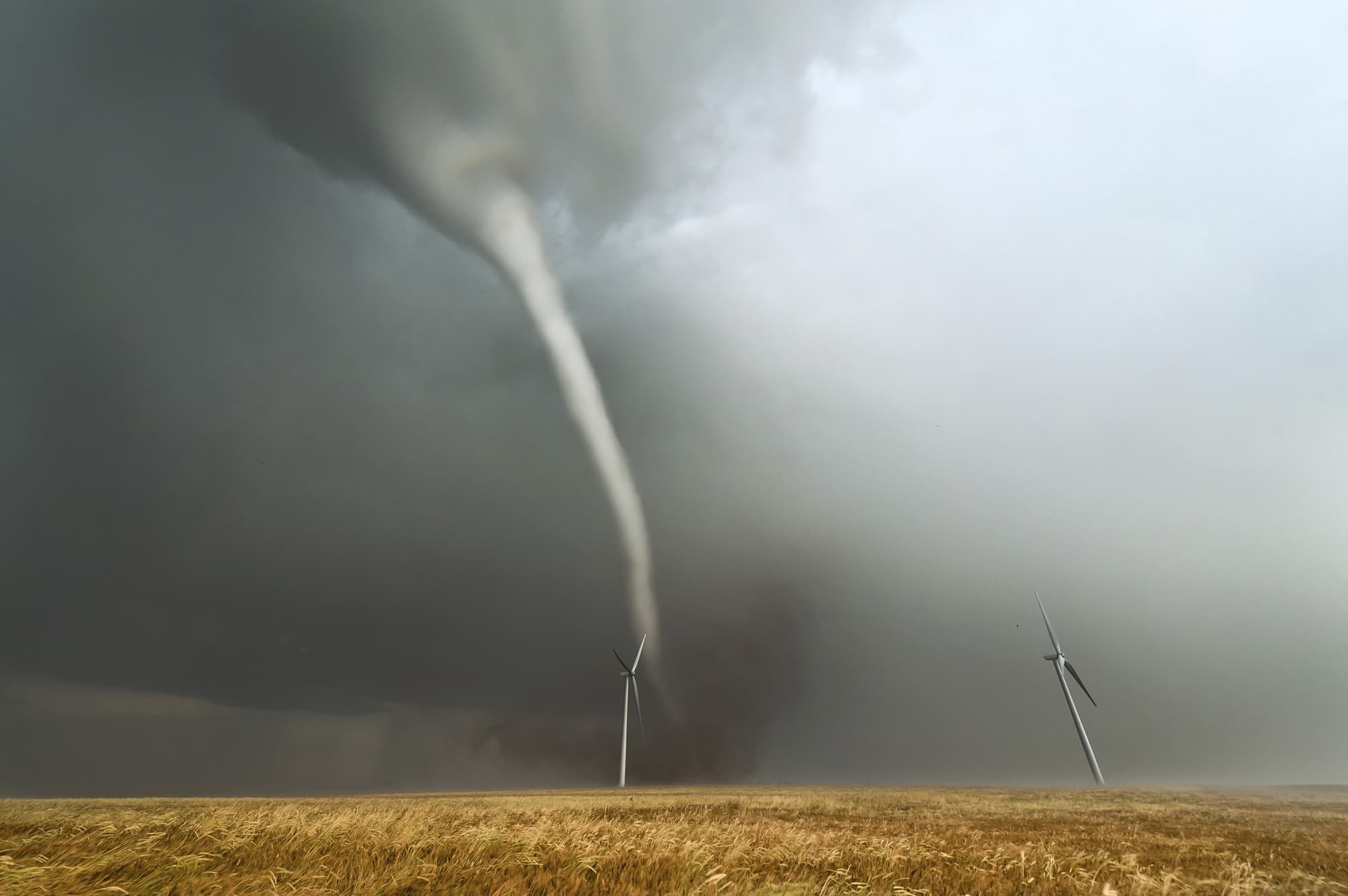 Stärkste Böen in einem Sturm Stärkste Böen in einem Sturm