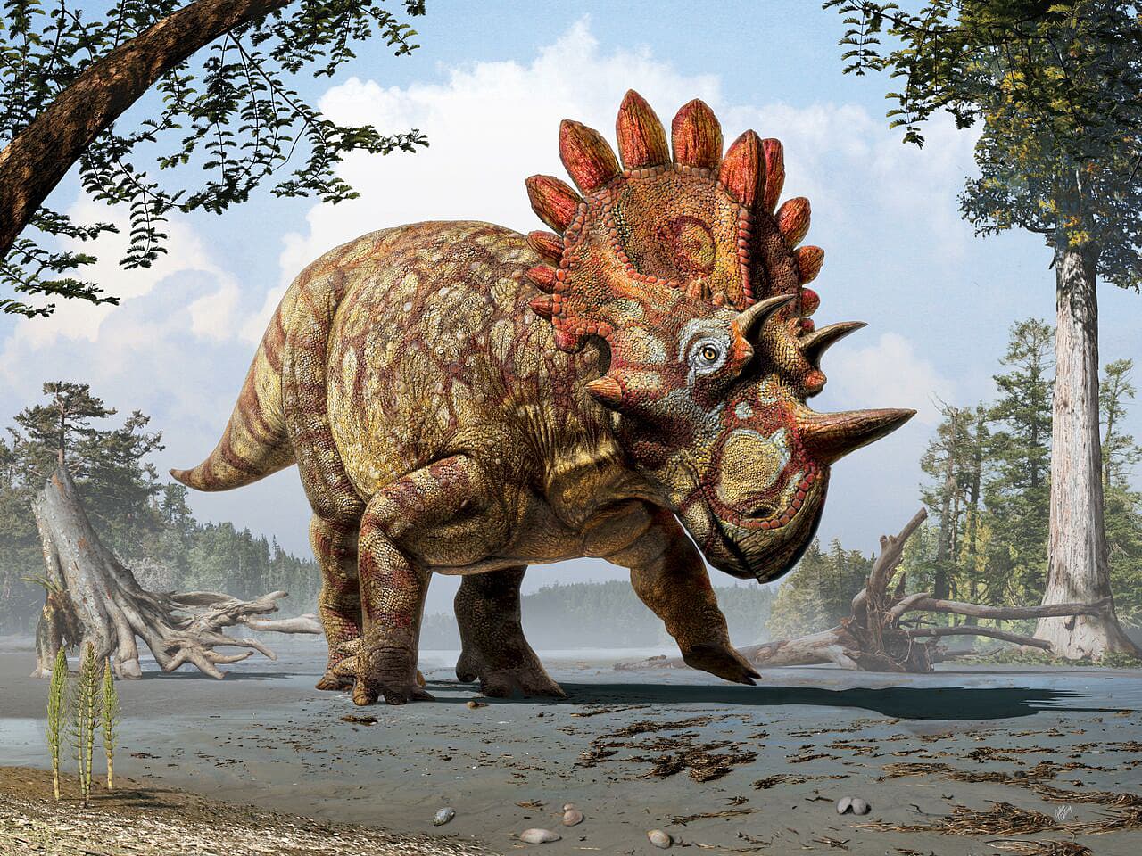 In Farbe: Protziger Dino In Farbe: Protziger Dino