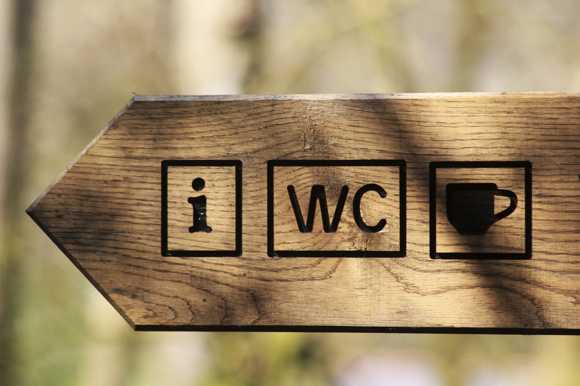 Entwässert Kaffee tatsächlich? Entwässert Kaffee tatsächlich?