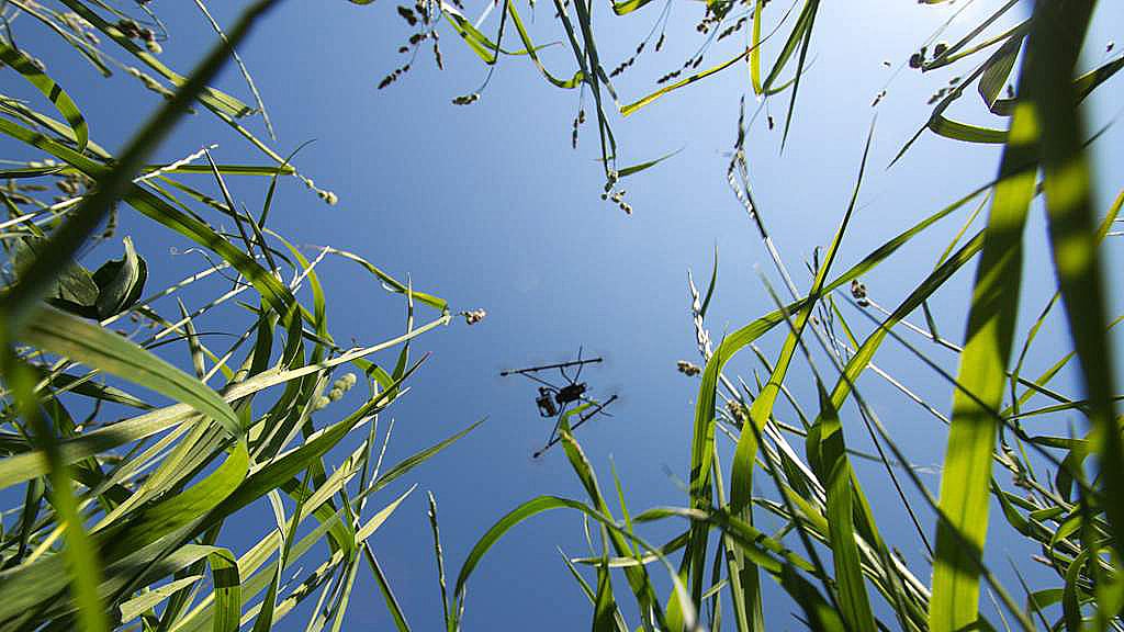 Fliegender Wildretter Fliegender Wildretter