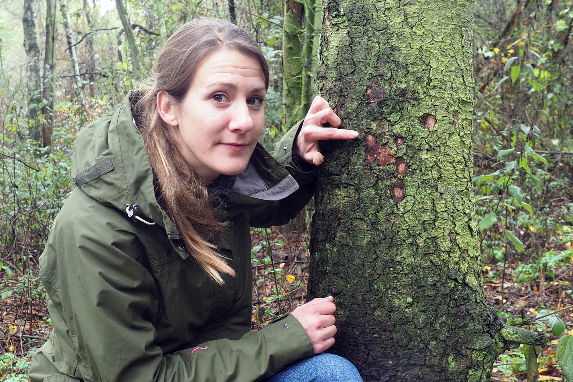 Stefanie Argow zeigt, wo ein Specht seine Spuren hinterließ Stefanie Argow zeigt, wo ein Specht seine Spuren hinterließ