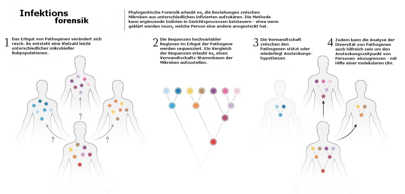 Infektionsforensik – neue Methode im Gericht Infektionsforensik – neue Methode im Gericht