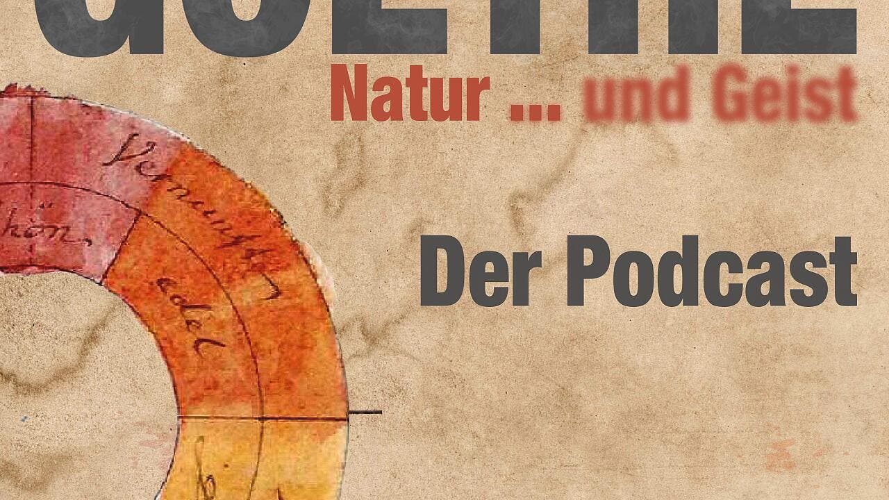 Goethes Helfer: die Tragik des August von Goethe