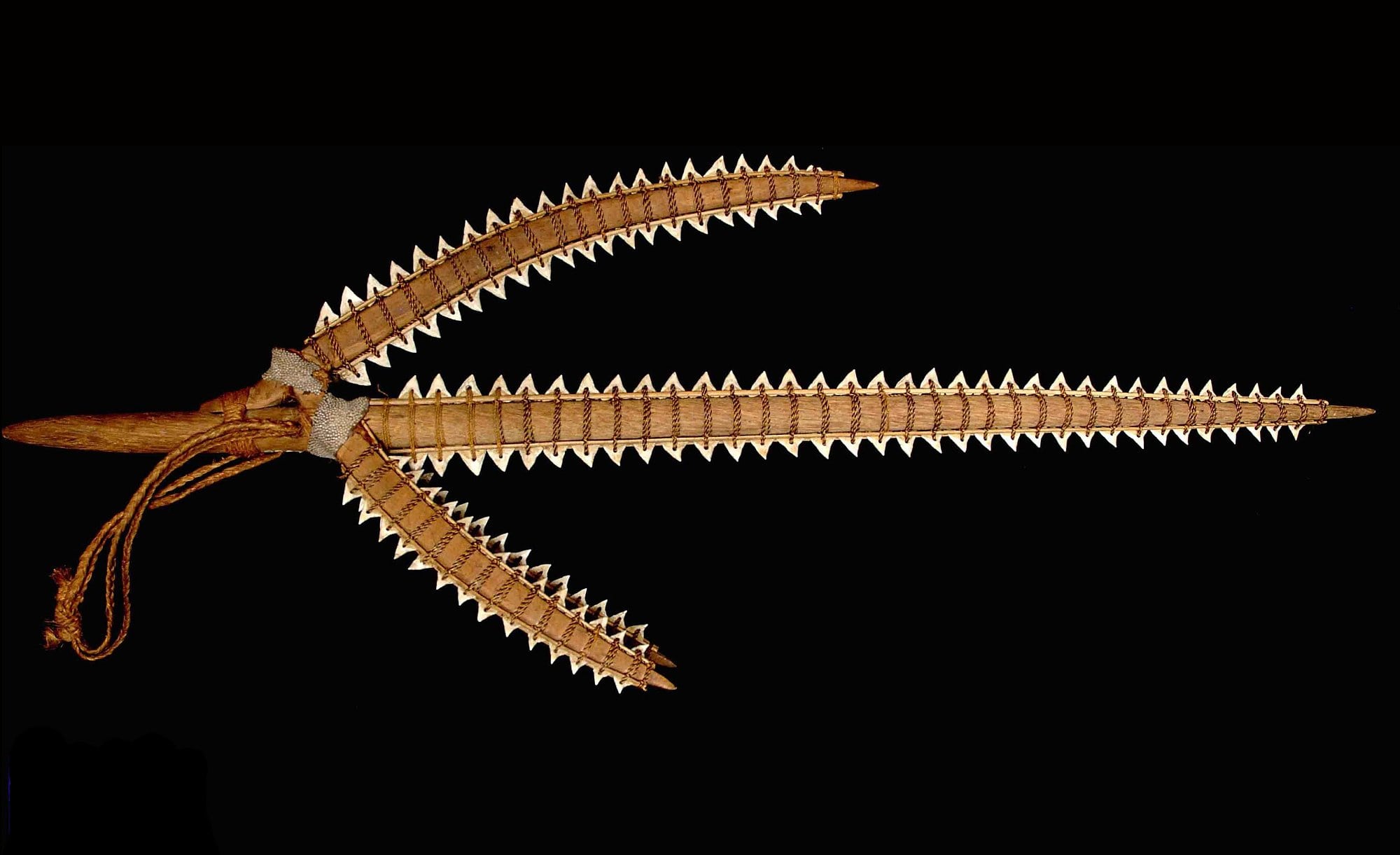 Waffe mit Haifischzähnen Waffe mit Haifischzähnen
