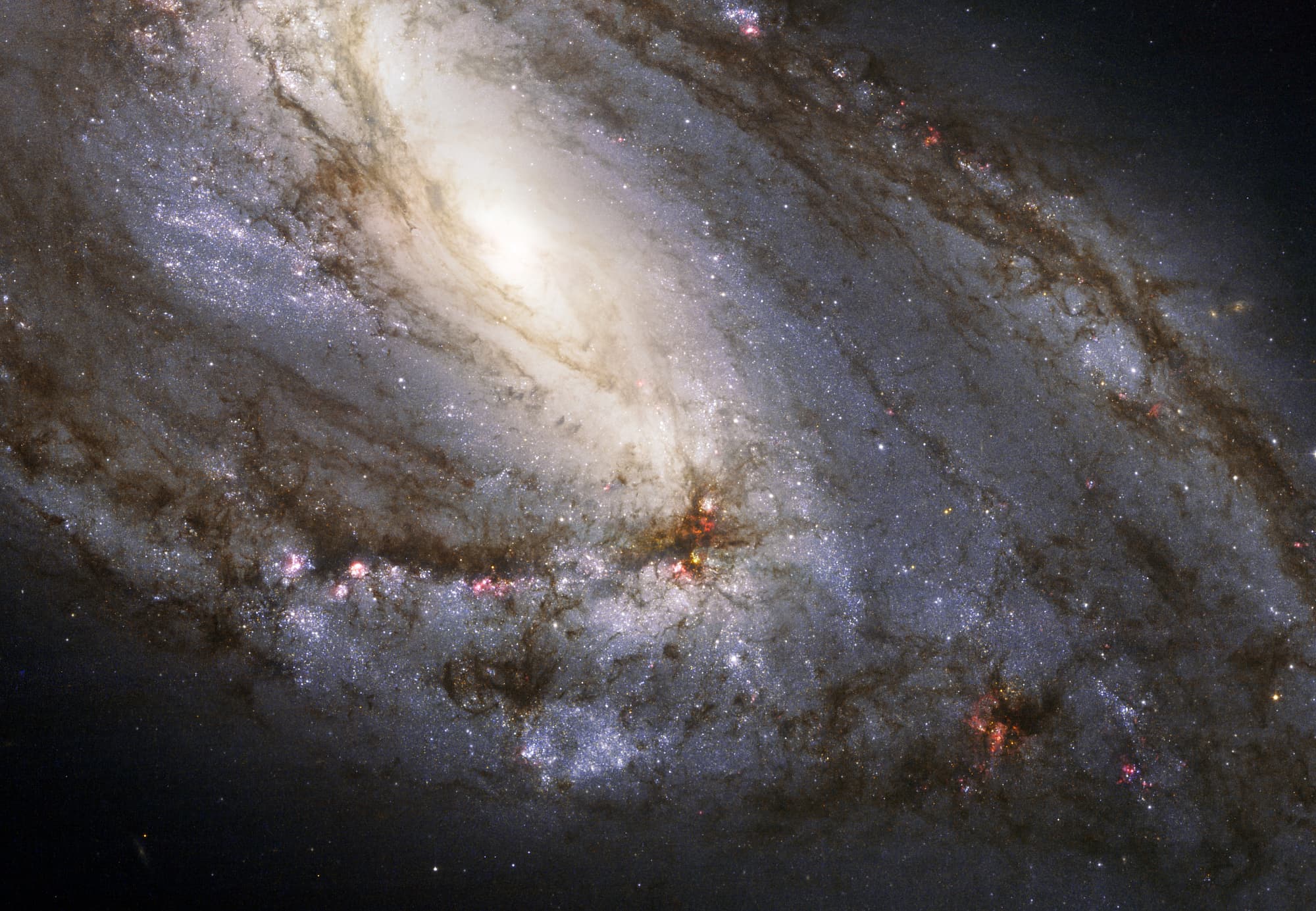 M66 M66