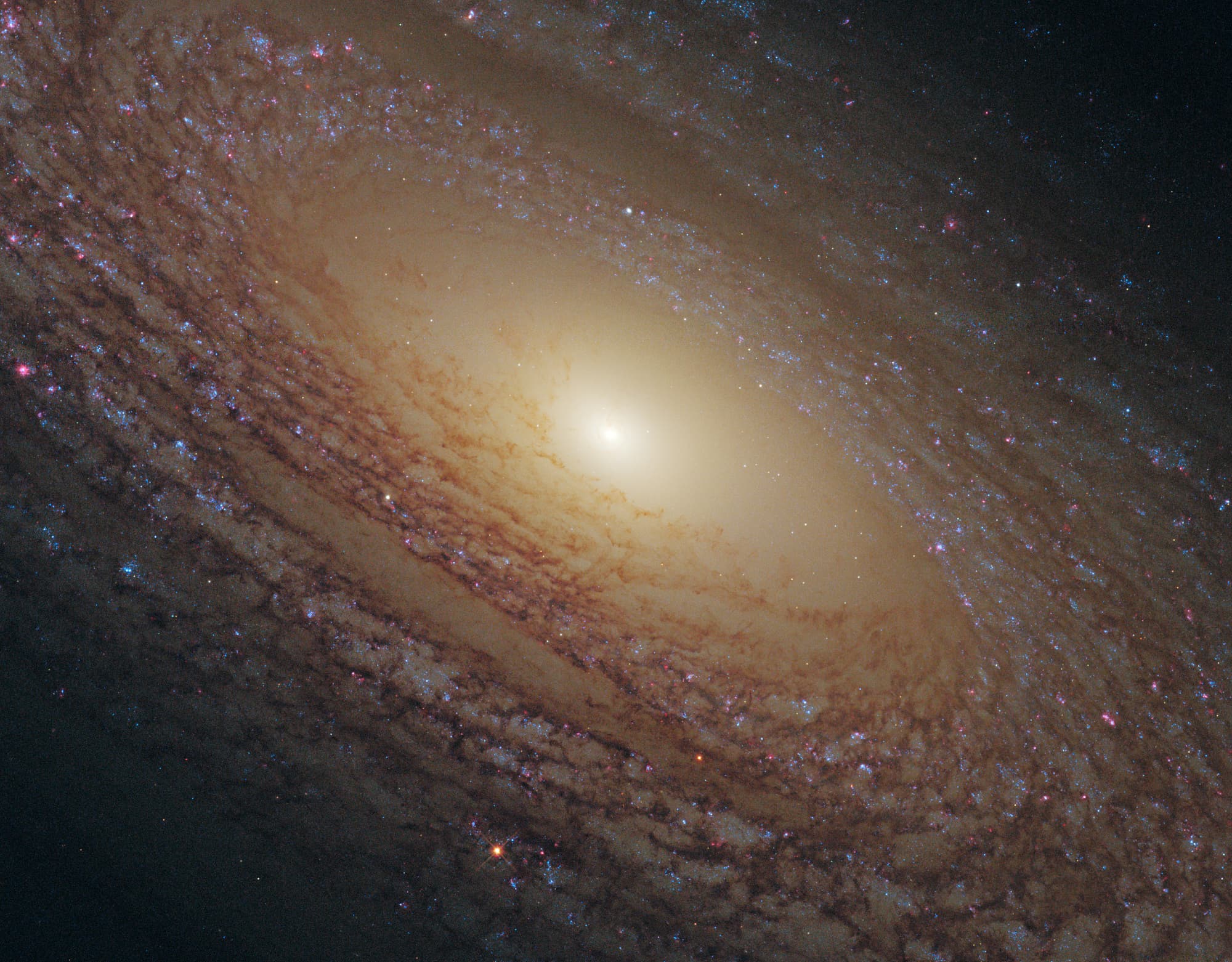 Spiralgalaxie NGC 2841 Spiralgalaxie NGC 2841