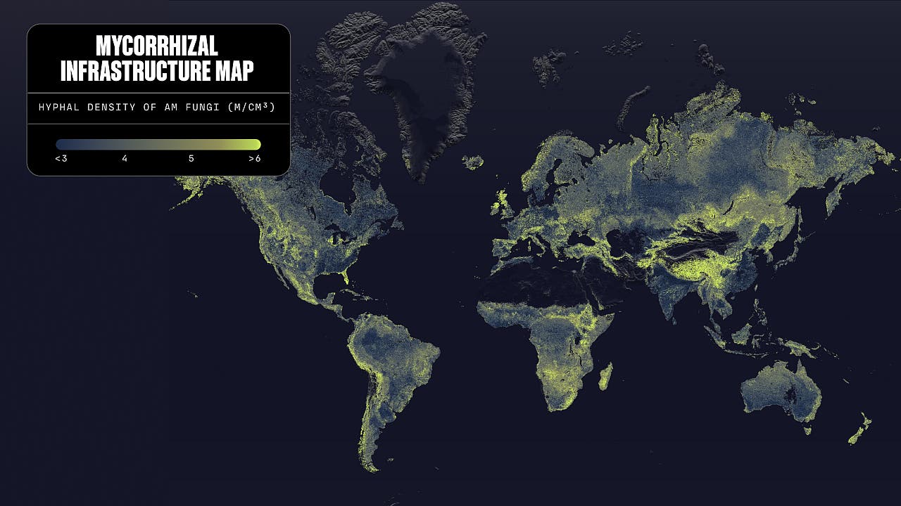 Bilder der Woche: Hotspots im globalen Pilz-Netzwe