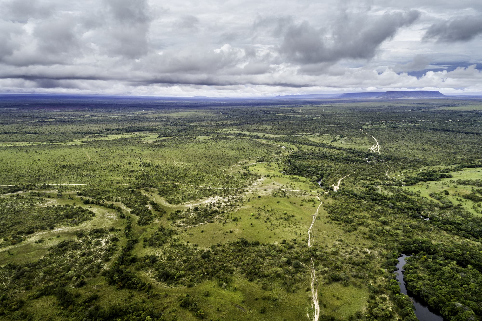 Der Cerrado im Bundesstaat Tocantins Der Cerrado im Bundesstaat Tocantins