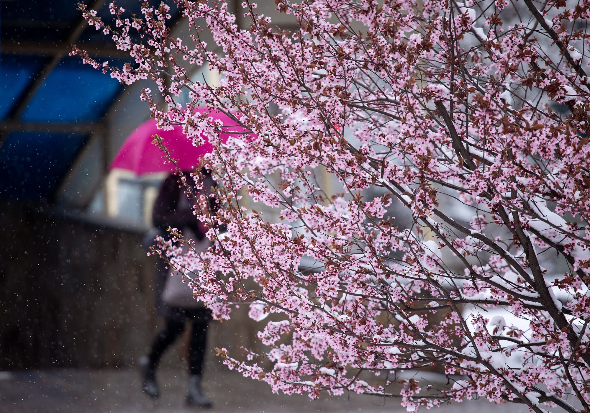 Schmuddelwetter Schmuddelwetter