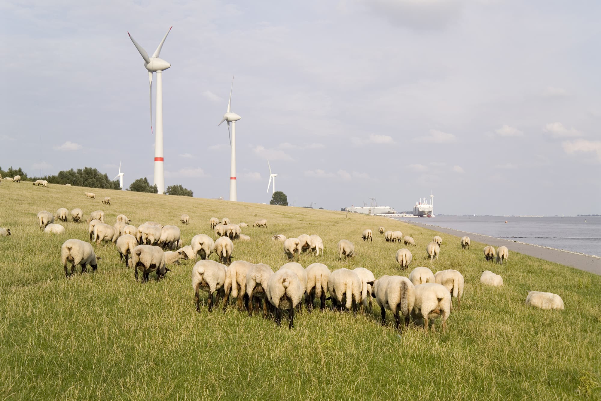 Windkraftanlagen in Emden Windkraftanlagen in Emden