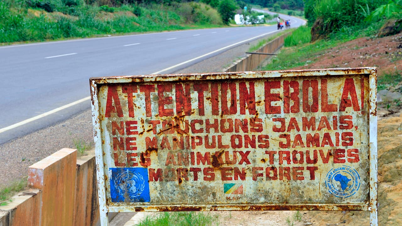 Epidemie in Zentralafrika: Erste Ebola-Erkrankung in Frankreich aufgetreten