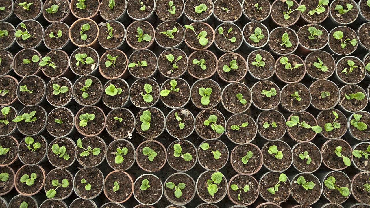 Messe BIOFACH – Ist Bio bereit für den Mainstream?