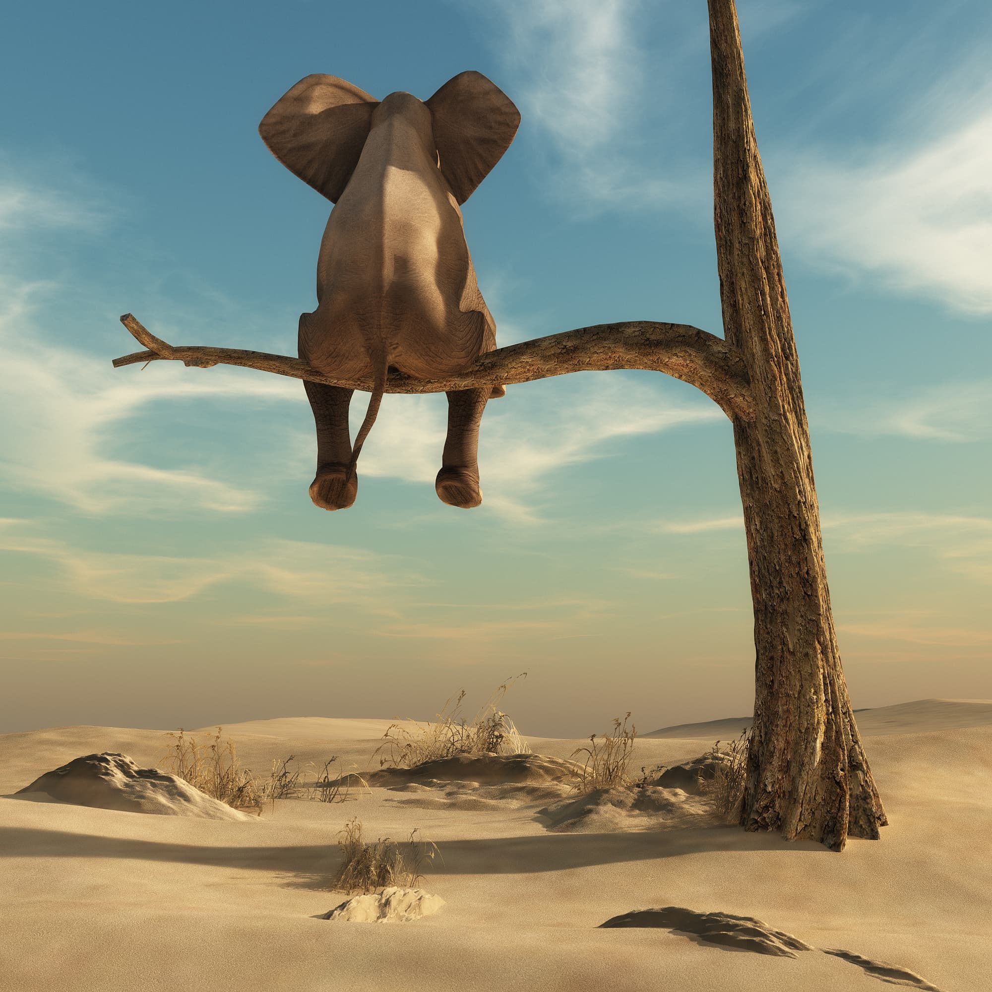 Traumwelt: Ein Elefant sitzt auf dem Ast eines Baumes in der Wüste Traumwelt: Ein Elefant sitzt auf dem Ast eines Baumes in der Wüste