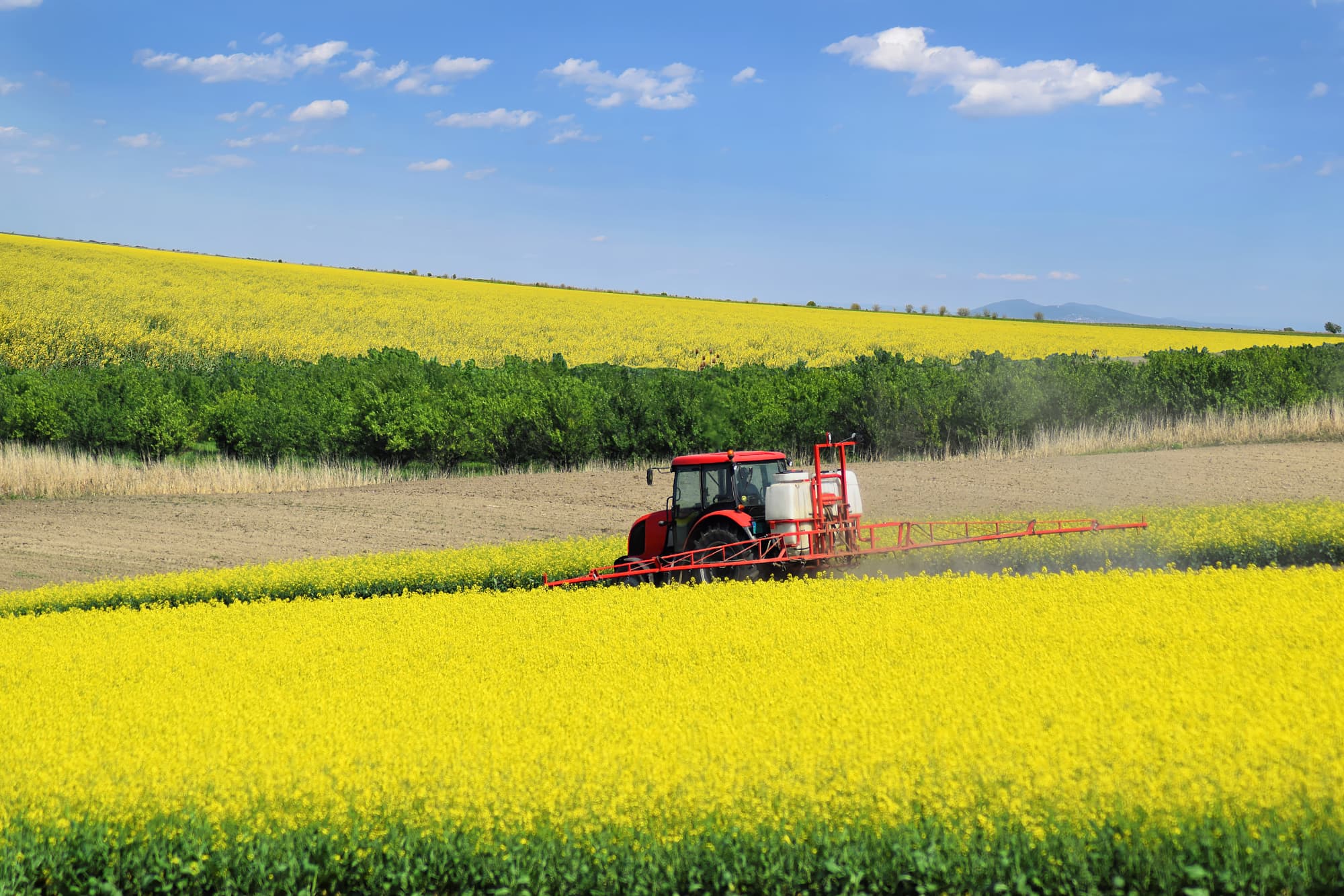 Pestizide Geht Landwirtschaft Auch Ohne Pestizide Spektrum Der Wissenschaft