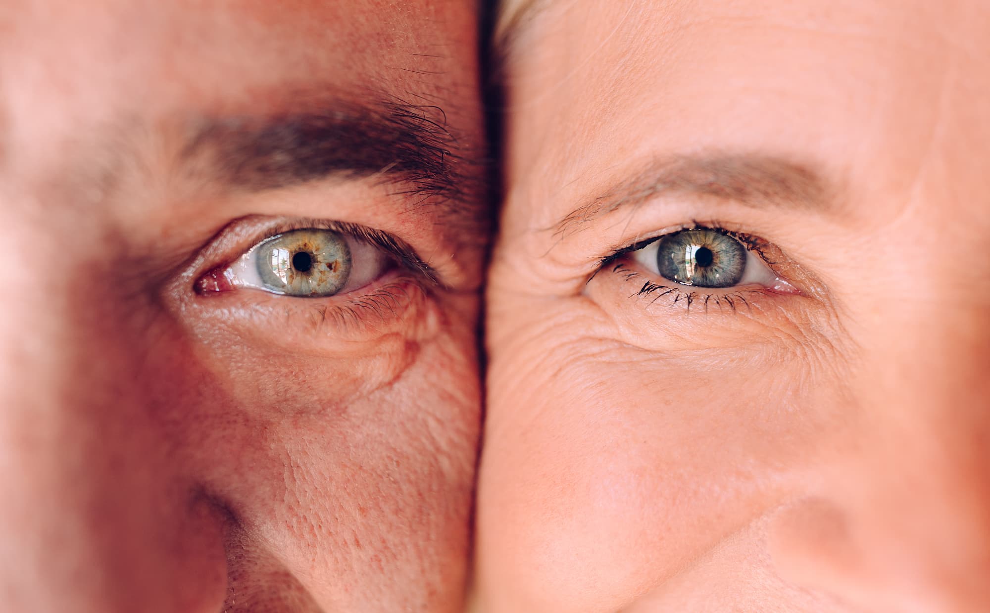 Säugetiere – und vielleicht sogar der Mensch? Säugetiere – und vielleicht sogar der Mensch?