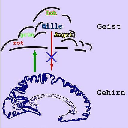 Geist und Gehirn Geist und Gehirn