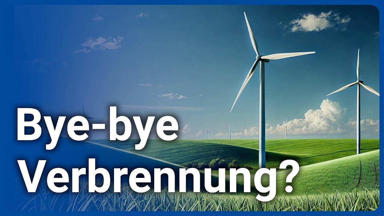 Energiewende effizient und  erneuerbar?