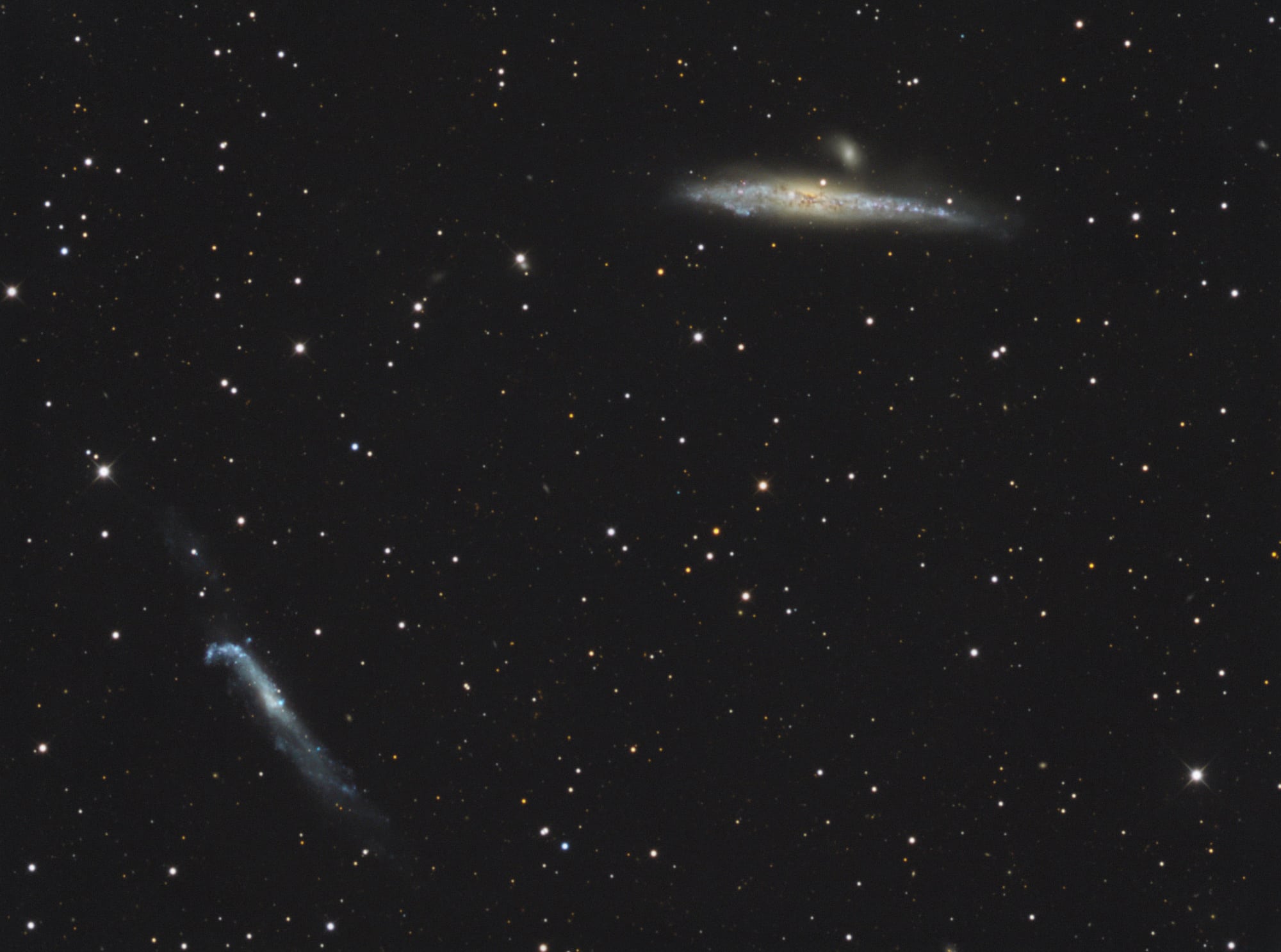Bild des Galaxienpaars NGC 4656 und 4631 durch ein großes, fotooptimiertes Amateurteleskop Bild des Galaxienpaars NGC 4656 und 4631 durch ein großes, fotooptimiertes Amateurteleskop
