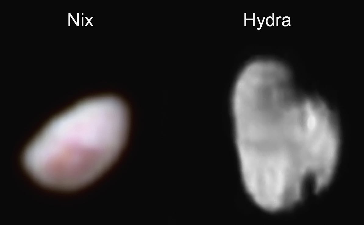 Nix und Hydra im Porträt Nix und Hydra im Porträt