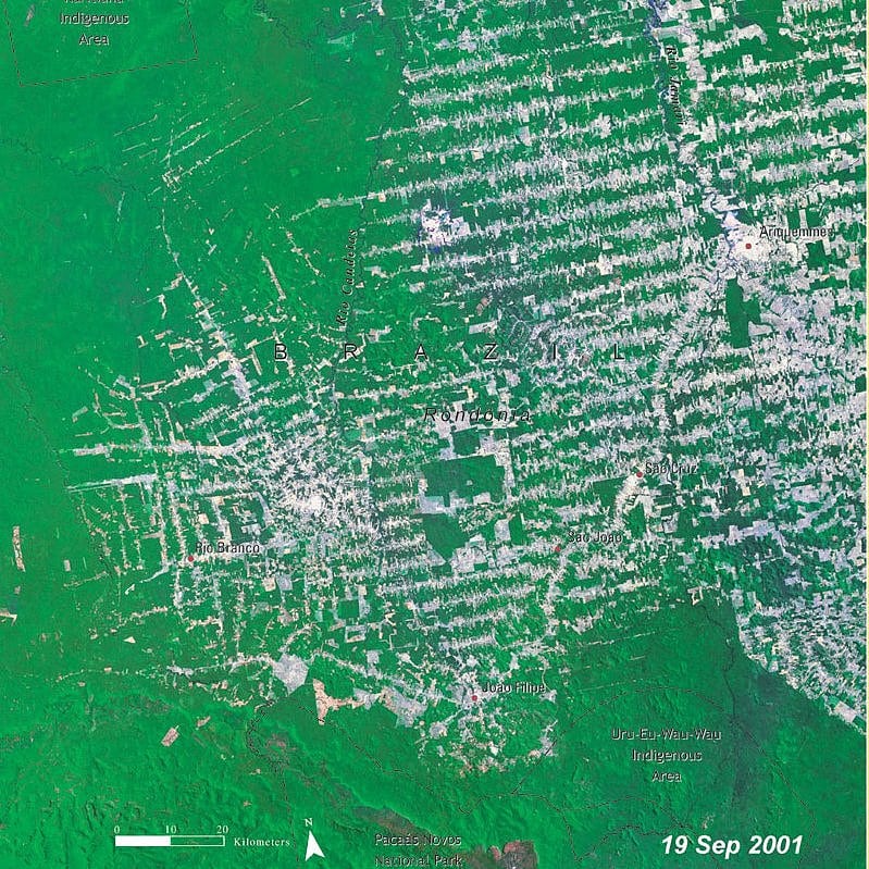 Rondonia, Brasilien 2001 Rondonia, Brasilien 2001