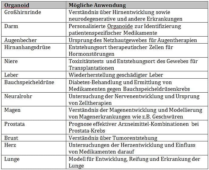 Tabelle mit Organoiden und ihren Anwendungen Tabelle mit Organoiden und ihren Anwendungen